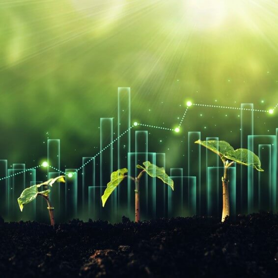 A green growth chart illustrating plant growth representing business success with a seedling and upward arrow