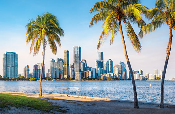 An aerial view of the Miami skyline with palm trees in the foreground and Biscayne Bay in the background