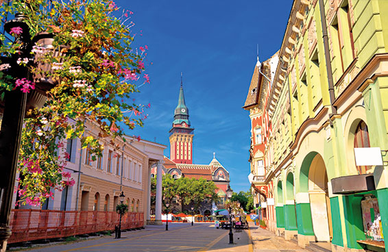 A view of the street in Timișoara, Romania, with colorful buildings and a clock tower in the background