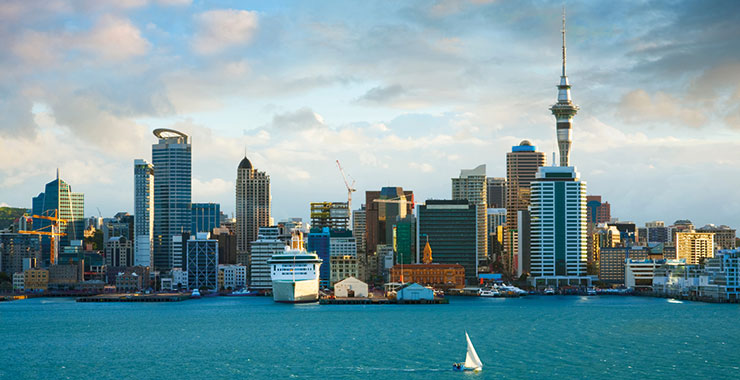 A scenic view of Auckland skyline with the Sky Tower, a cruise ship in the harbor, and a sailboat on the water