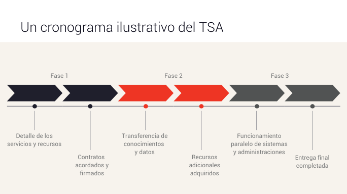 tmf group MA infographic