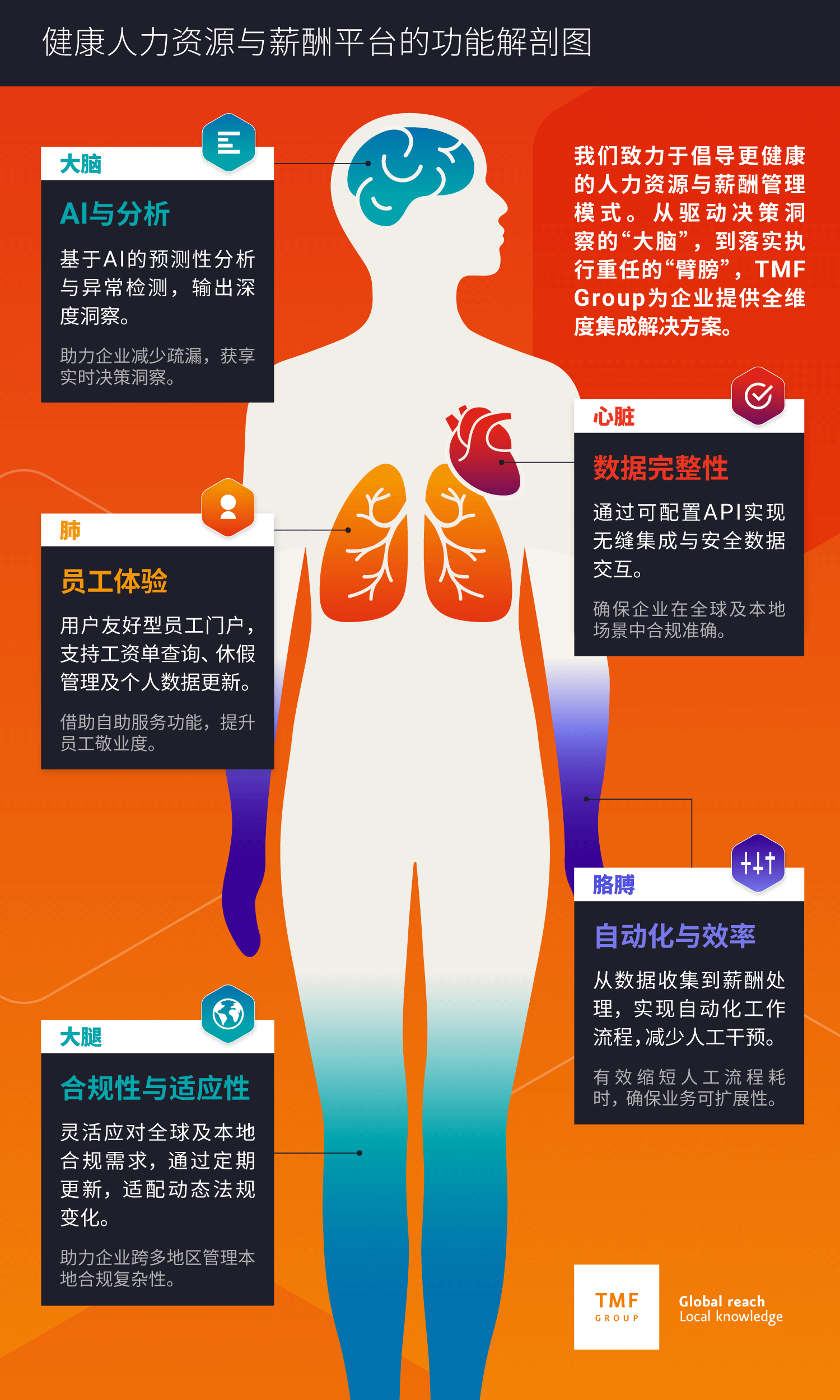 tmf group global payroll anatomy