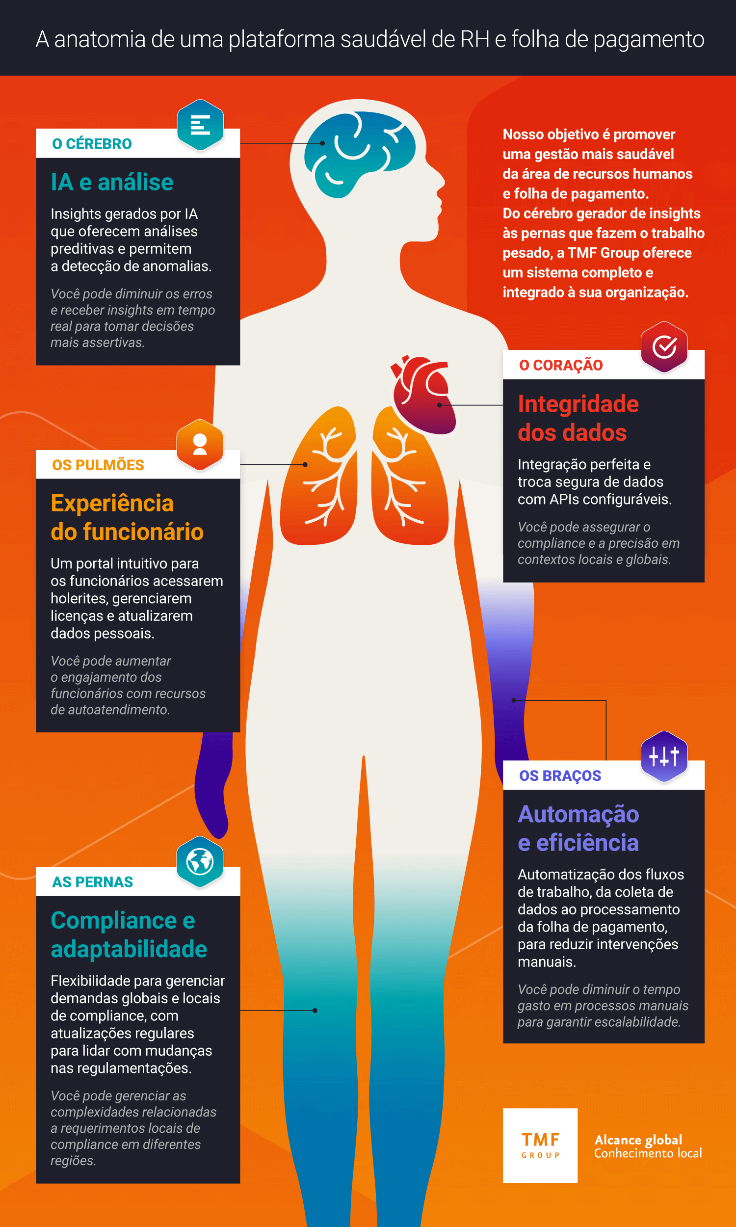 tmf group global payroll anatomy