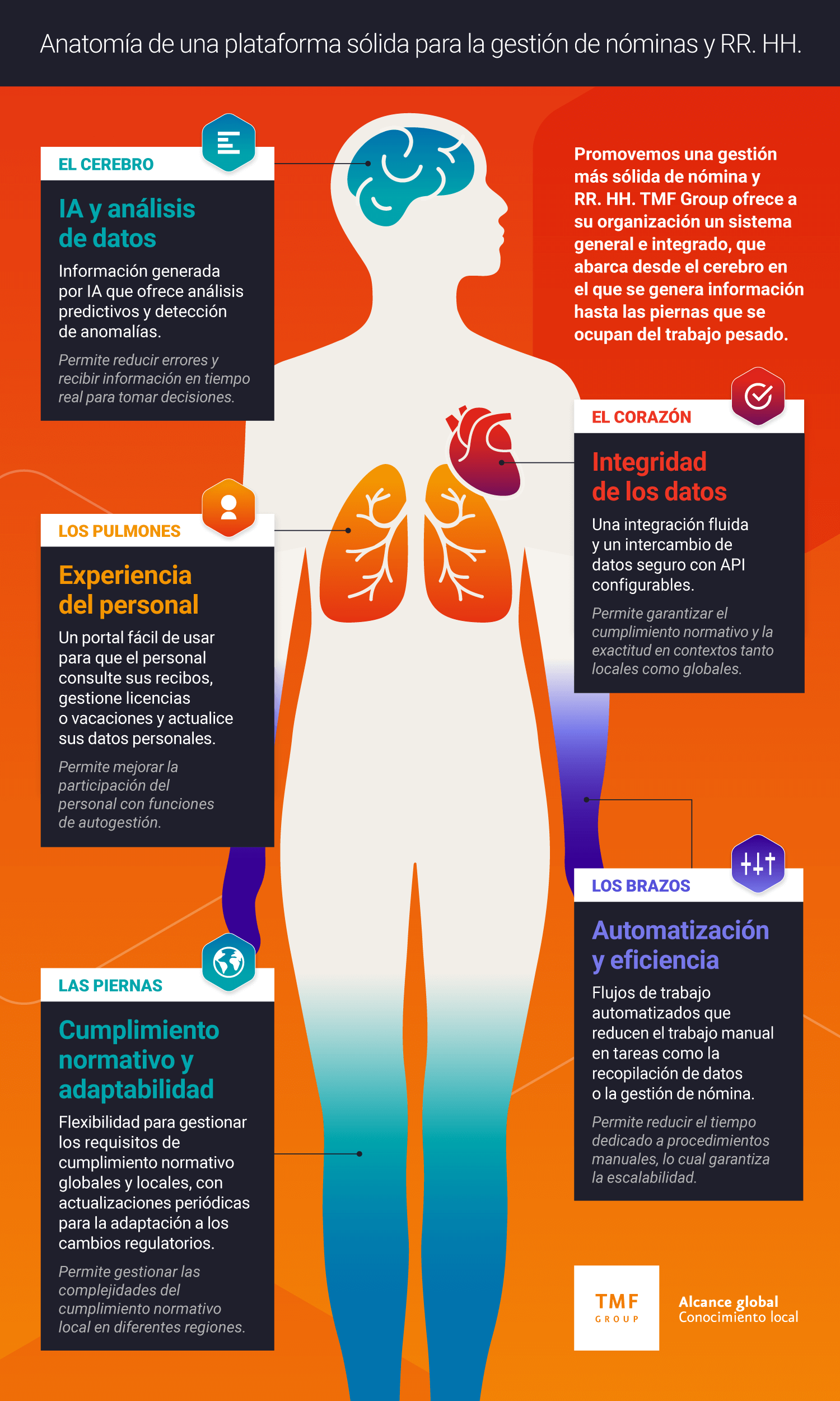 tmf group anatomy of global payroll services